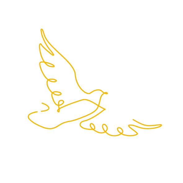 VAT Services