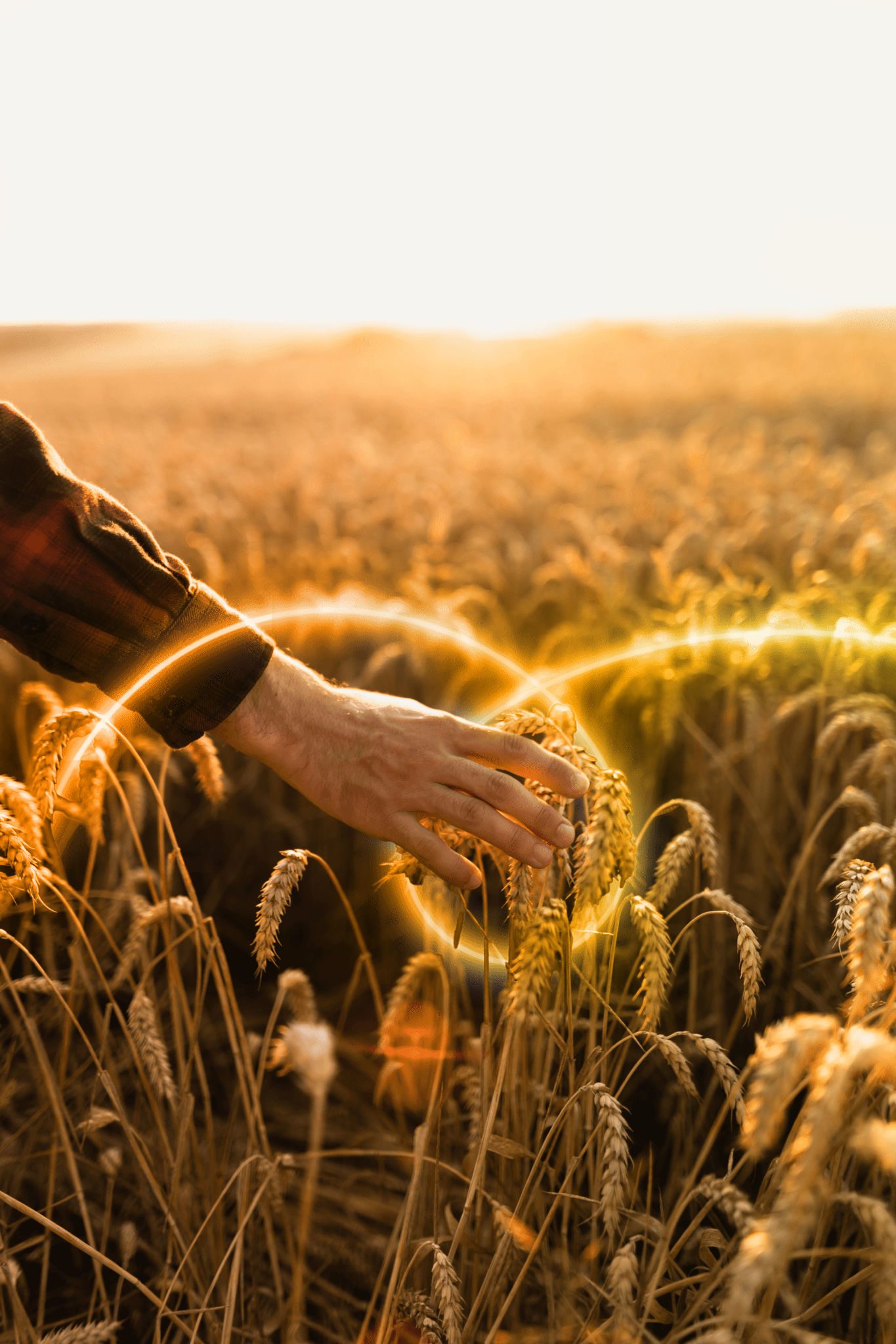 Agriculture